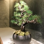 焼肉 銀座コバウ - 