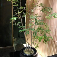 焼肉 銀座コバウ 特別室 - 