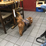 すき焼･鍋物 なべや - 女将さんの元へ向かうよ