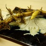 道人 - 根ぶち竹の子