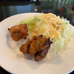 インターナショナルビレッジ - チキンティッカ、サラダ