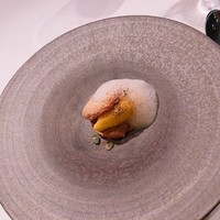 ジョンティ アッシュ -  ジョンティ アッシュ -