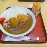 勝央サービスエリア（下り線）スナックコーナー - 勝カレー＆えびめしグー