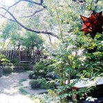 ぎゃらりぃかふぇ華野 - お庭