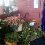 エンジェルズ - 店頭