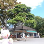 Kankouzou Maebai Ten Kusunoki - 緑美しく風吹き抜ける売店です