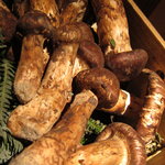 くろぎ - 丹波の松茸