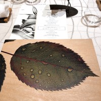 クイントカント - 