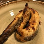 Sa Cardiga e Su Schironi - 