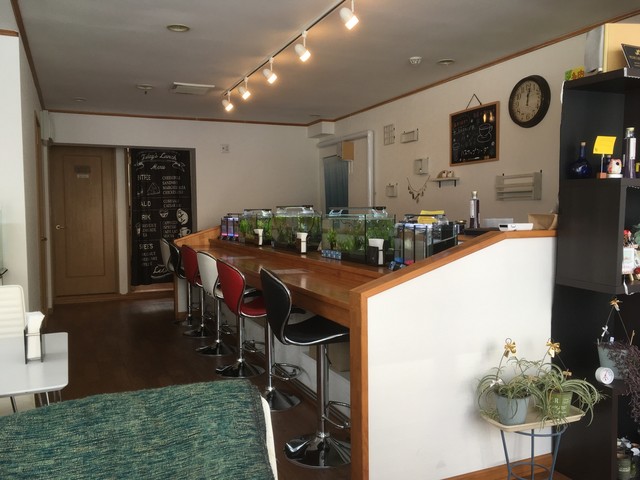 カフェ IROHA - 帯広（カフェ）の写真