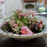 トリワイン ＰＩＫＯＳＨＨＨＵ - グリーンサラダ