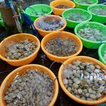 Quán Bé Mặn - 店内