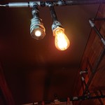 【カレー専門店】円山教授。 - 内観