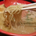 えびそば一幻 - 細麺ですが普通ぐらいの麺