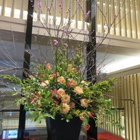 オールデイダイニング風花 - 館内