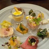 オッジ ダルマット 西麻布店 - 