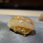 鮨 猪股 - ホタン海老