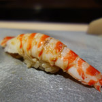 鮨 猪股 - 車海老