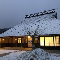心根 - 