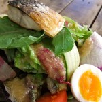 ヨハク - サバのサラダはドレッシングが極め手かな〜