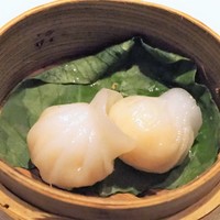 チャイニーズ 芹菜 - 点心 エビ蒸し餃子1人分