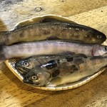 旬ものと日本酒 とみ笑 - アマゴ・イワナ