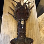 旬ものと日本酒 とみ笑 - 神経〆の伊勢海老