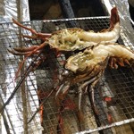旬ものと日本酒 とみ笑 - 伊勢海老の炭火焼き