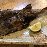 旬ものと日本酒 とみ笑 - アマゴの炭火焼き