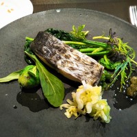 KINOE - メイン　鰆の香草ポワレ