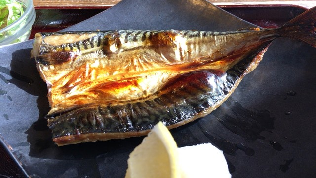 かこみ 茅野 居酒屋 食べログ