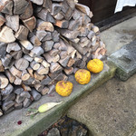 京 上賀茂 御料理秋山 - 