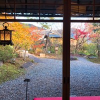 洋食 つばき - 