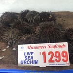 Sydney Fish Market - 