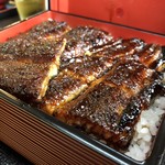 Kawashin Unagi Senta - 