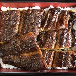 Kawashin Unagi Senta - 