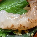 桂新堂本店 お食事処 百福庵 - ぷりっ、ぷりっですよ。