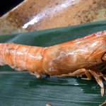 桂新堂本店 お食事処 百福庵 - この海老は、頭の先から尻尾まで全て食べれるんですよ。