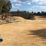 Teihou Kan Tori Kurabu - 気温は低いが暖かい日が射す、絶好のゴルフ日和でした