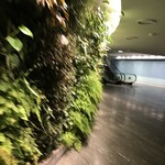 Sydney - International First Lounge - 