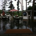 ドッグデプトガーデン - 雨のテラス席