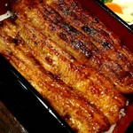 うなぎ 魚政 - うな重　板東太郎特上