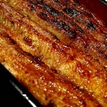 うなぎ 魚政 - うな重　板東太郎特上