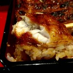 うなぎ 魚政 - うな重　板東太郎特上