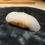 鮨 唐島 - ヤリイカ
