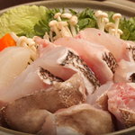 魚八商店 - 新コース幻の魚　クエ鍋スタート！