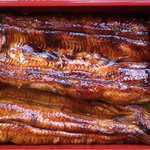 うなぎ亭 友栄 - 上うな重アップ！！！