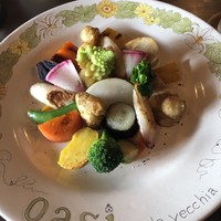 oasi - 