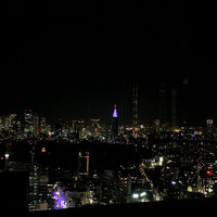 タワーズバー ベロビスト - 