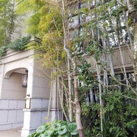 クラシカ表参道 - 外観  横から